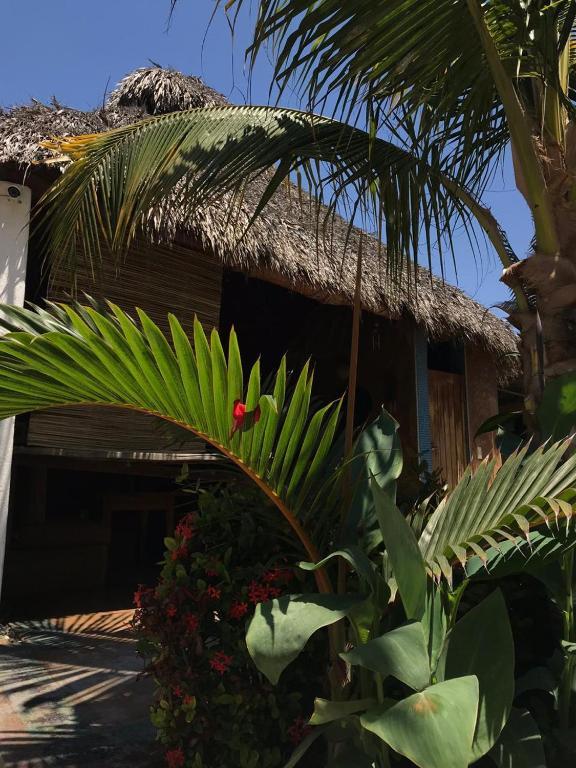 Condominio Agave Del Mar Coyuca de Benitez Buitenkant foto